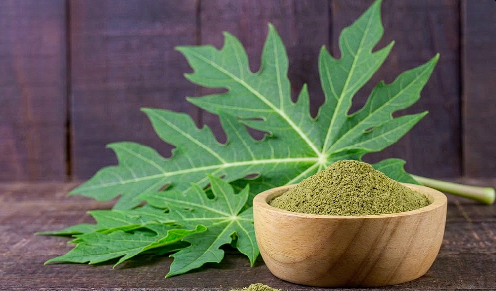 Papaya Leaves Powder